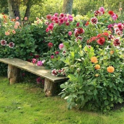 allpinterest
