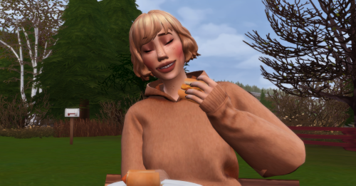 cloudberrysims