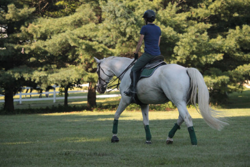 kremeroyale:One of my favorite late summer evening rides