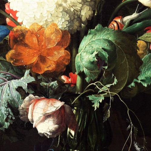 De Heem Tumblr