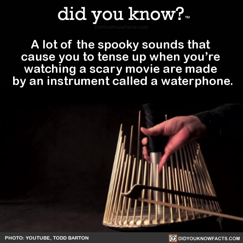 a-lot-of-the-spooky-sounds-that-cause-you-to-tense