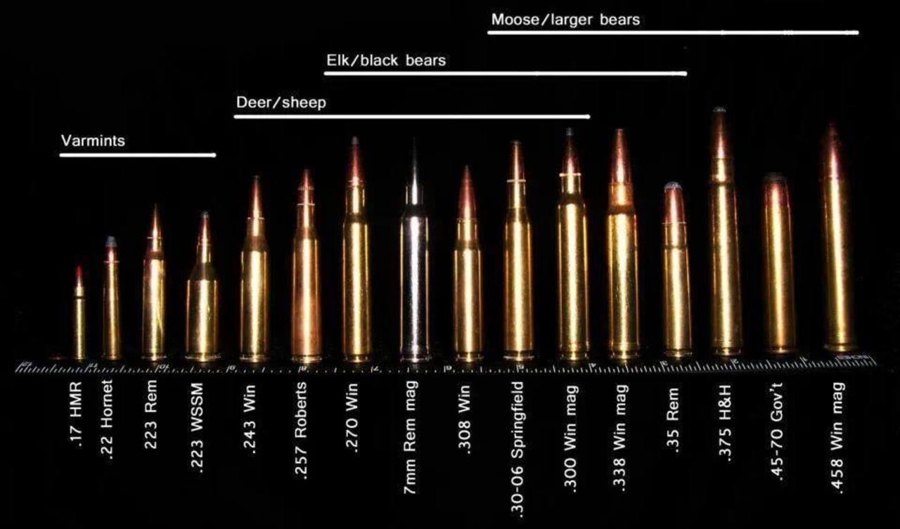 Bullet Cal Chart