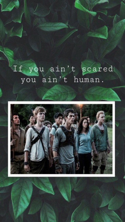 Newtmas Lockscreens Tumblr Wallpapers T Maze Runner