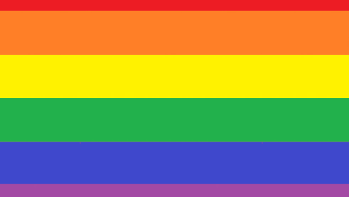 show me the gay flag