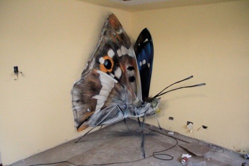 thedesigndome:Mural Artist Who Portrays Butterfly Specimen Box...