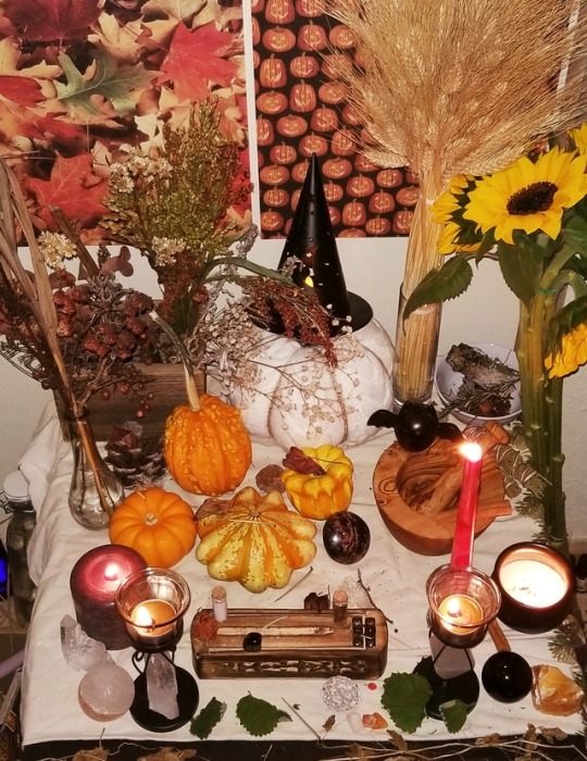 samhain altar on Tumblr