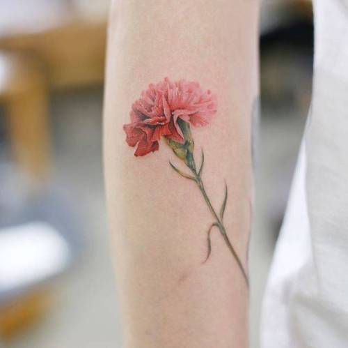By Doy, done at Inkedwall, Seoul. http://ttoo.co/p/36449 flower;small;carnation;tiny;ifttt;little;nature;forearm;doy;medium size;illustrative