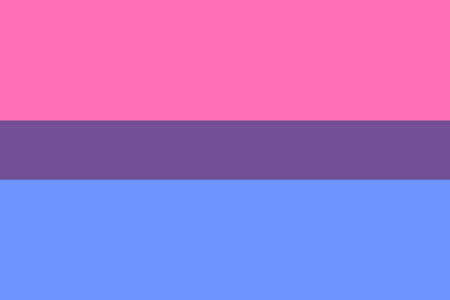 ginchiyohs:Made a few “sub-category” edits of the bi flag,...