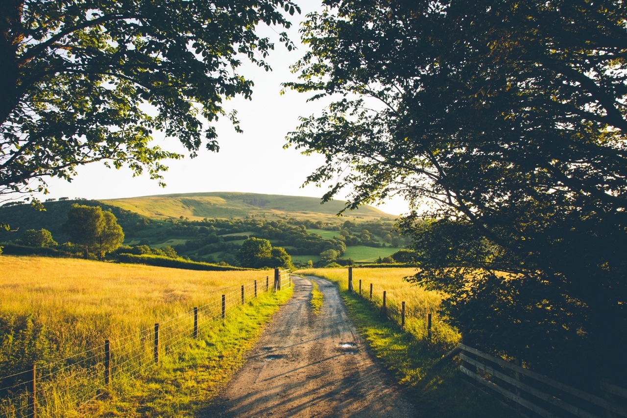 Decided to the countryside. Сельская дорога. Деревенская дорога. Природа Англии в несколько картинок. Пленочное фото пейзаж.