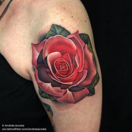 By Andrés Acosta, done in Austin. http://ttoo.co/p/33013 flower;andresacosta;rose;facebook;nature;realistic;twitter;medium size;upper arm