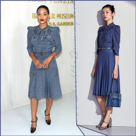 Hammer Museum Gala Honoring Ava Duvernay & Hilton Als – Check the Runway