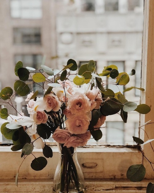 flower blog flowery flower aesthetic pretty things pastel earthy earth plant earth day save the planet flower cute vintage grunge soft grunge grunge aesthetic