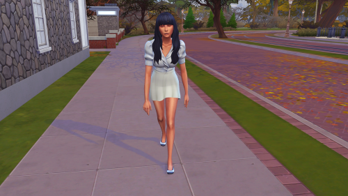 kinsasims