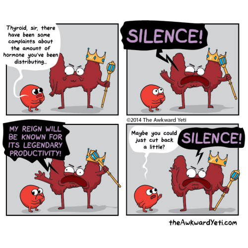 The Awkward Yeti