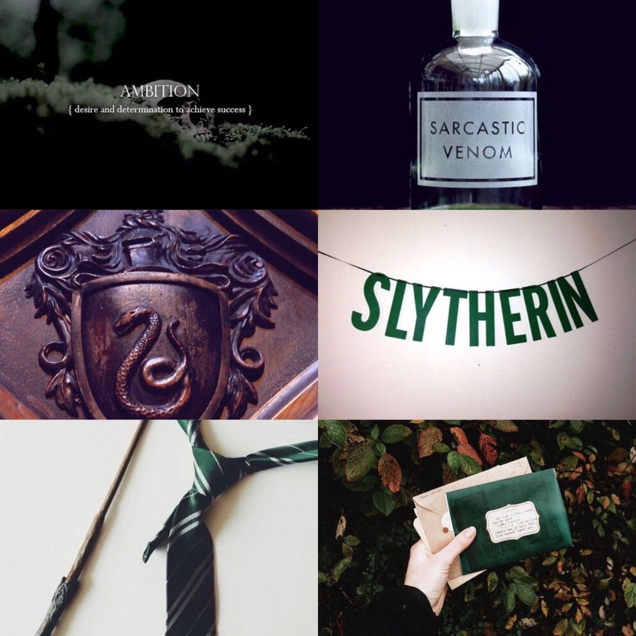 Hogwarts Is My Home — Hogwarts houses aesthetics: Slytherin (requested)