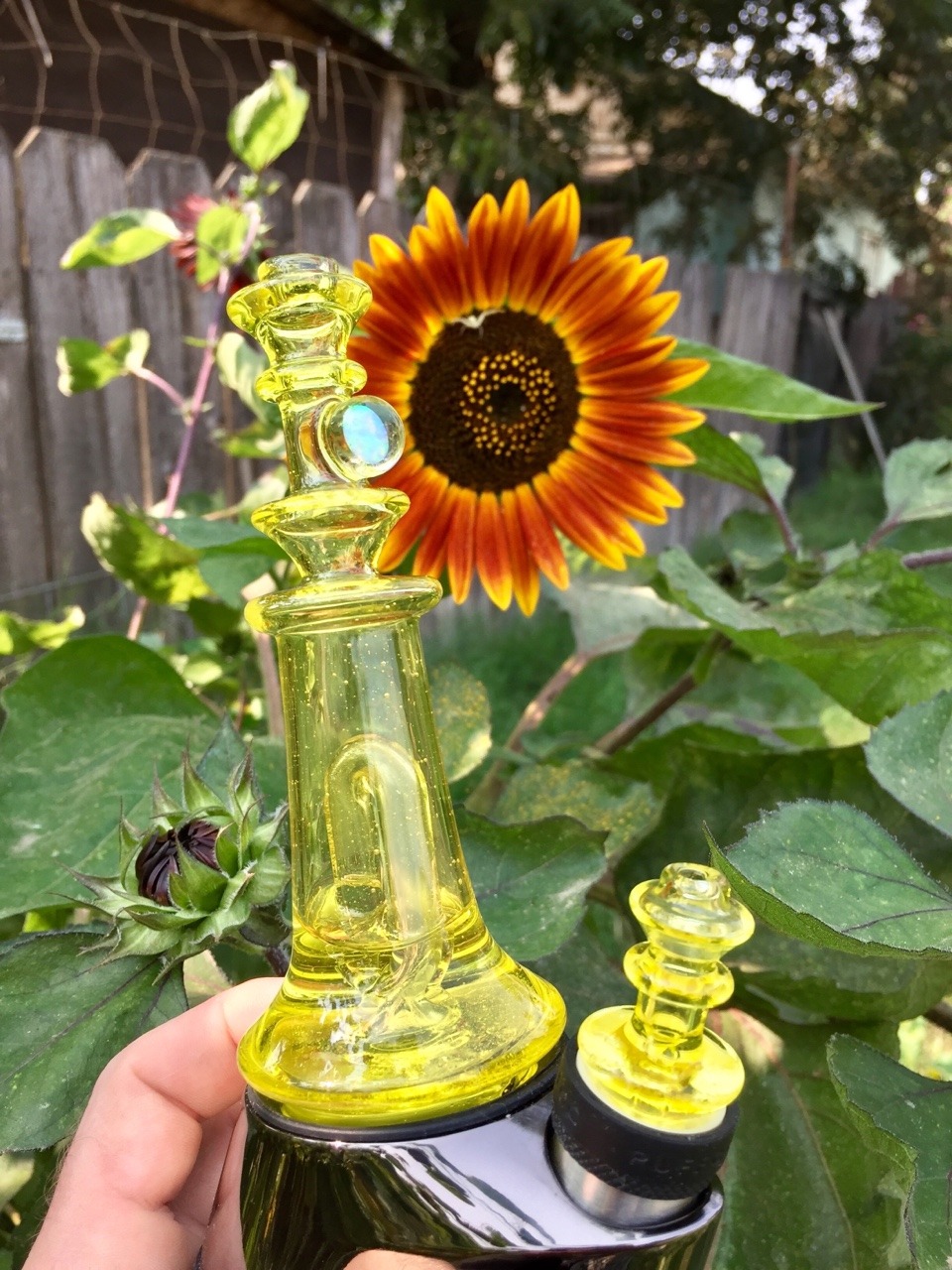 Custom Glass On Tumblr