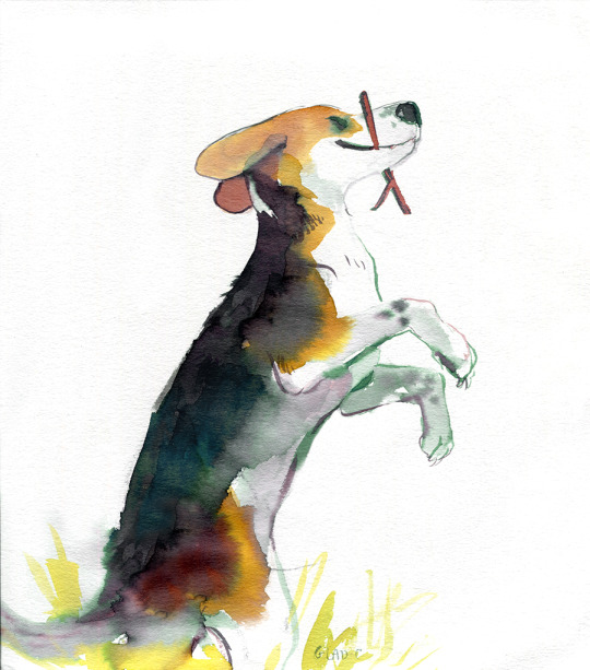 Inktober #30 - Catch