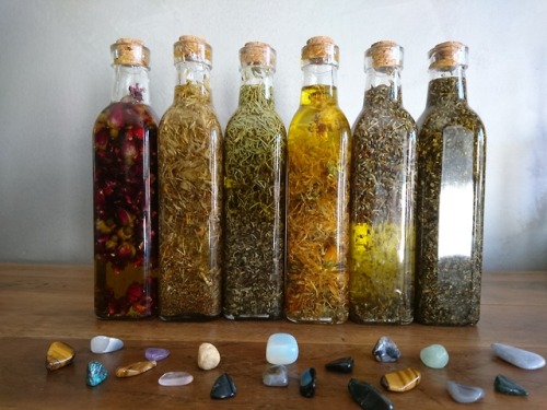 everett-the-mage:Setting up some oil infusions 