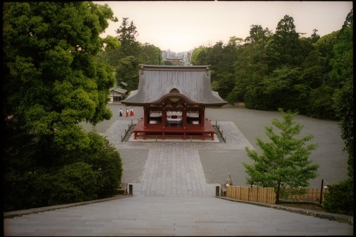 shinnoguchiphotography