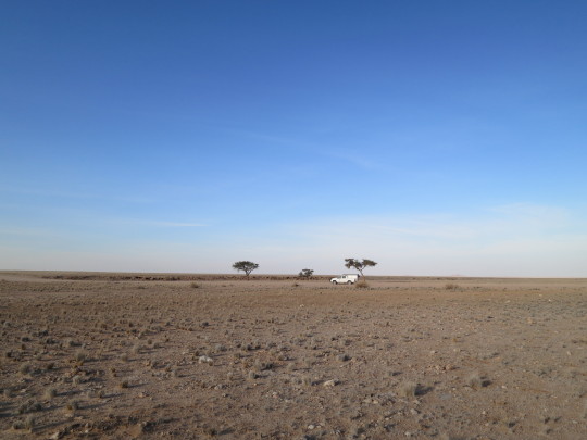 Deadvlei - Aventura 4x4 por Botswana y Namibia (1)