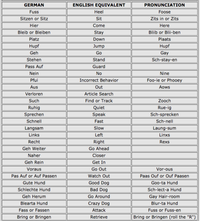 georgie dog commands