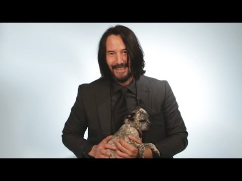 spideyjlaw:  Keanu Reeves playing with puppies 