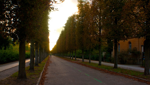 jadatz:Scenes around Potsdam at sunset in October 2009. Photos...