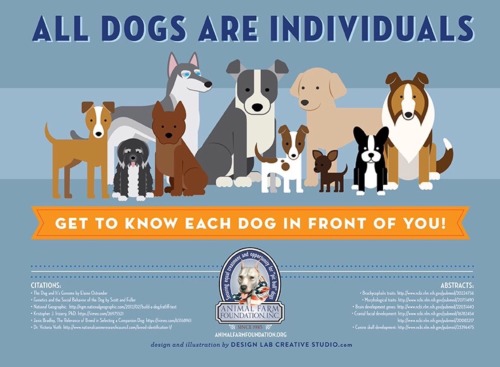 veterinaryrambles:vet-trek:All dogs are individuals....