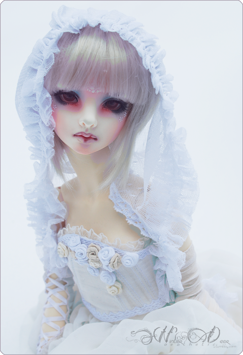 winterdeeraesthetic