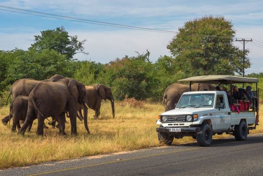 toyota land cruiser safari