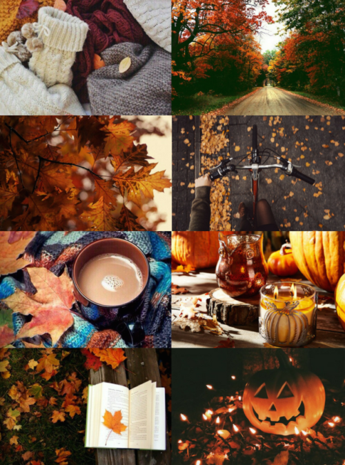 halloween aesthetic on Tumblr