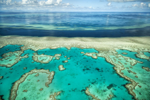 drxgonfly:Aerial Great Barrier Reef Coral and River (by Larry)