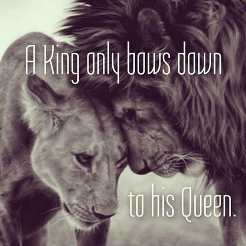 love-this-pic-dot-com:A king only bows down to his queen 