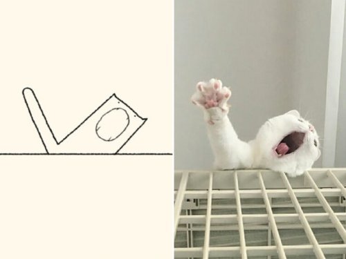 catasters