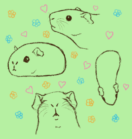 avaruusmarsu:Doodling guinea pigs is totally the cure for...