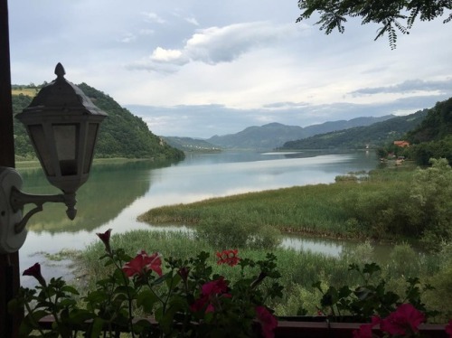 lilium-bosniacum:River Drina, Zvornik, Bosnia and Herzegovina