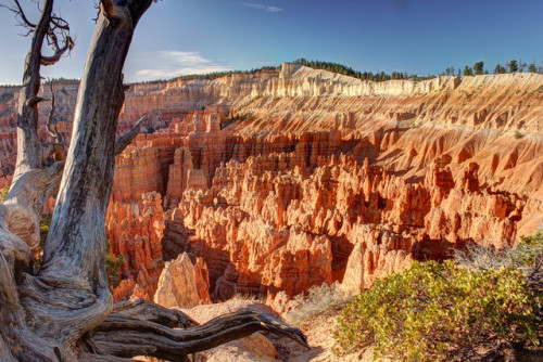 philotheoristic:Bryce Canyon N.P.…morning light in the...