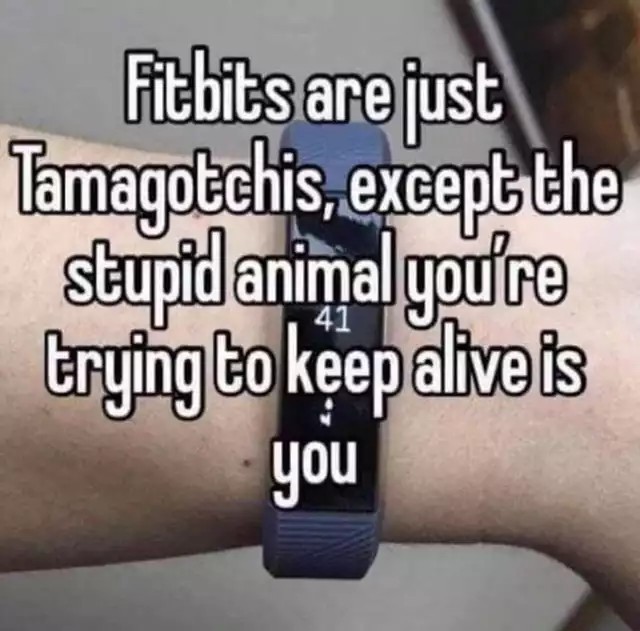 Los Fitbits son como los Tamagotchis, excepto que el animal estúpido que intentas mantener con vida eres tú.