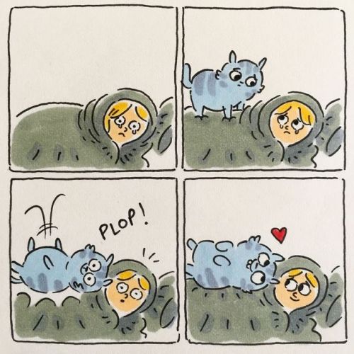 catsbeaversandducks