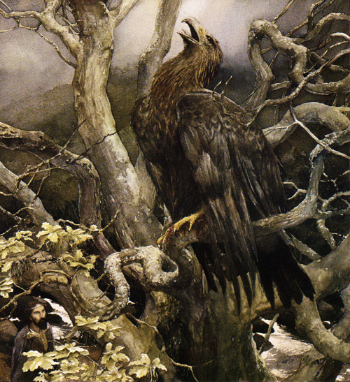 aqua-regia009:Alan Lee - Illustrations from “The Mabinogion”...