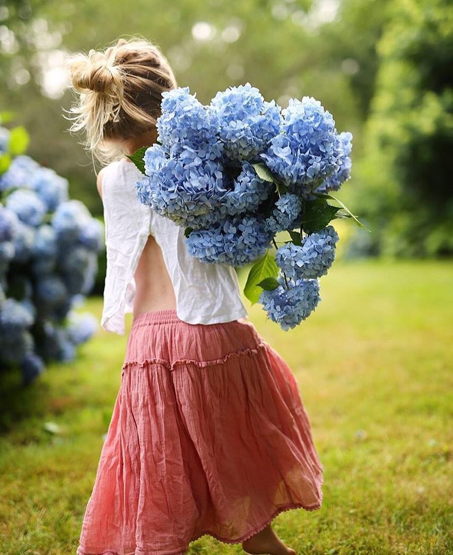 oldfarmhouse: ““✨This is one adorable little gardener, and she’s got a one beautiful haul of hydrangeas! I’m a little jealous!✨ Please stop by her gallery and show some love! @momtogs ________________________________________ (Had to reblog, bc it’s...