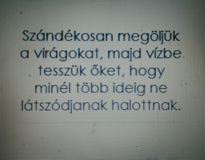 Aranyos fekete idióta
