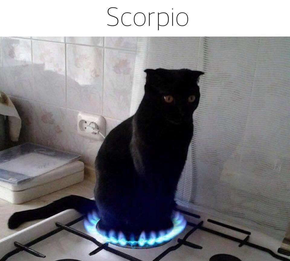 Горит чайник жопа