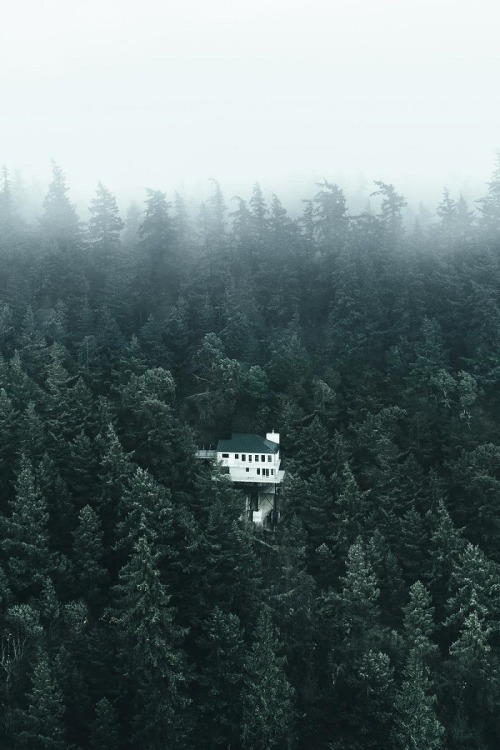 alecsgrg:Mood | ( by Dylan Furst )