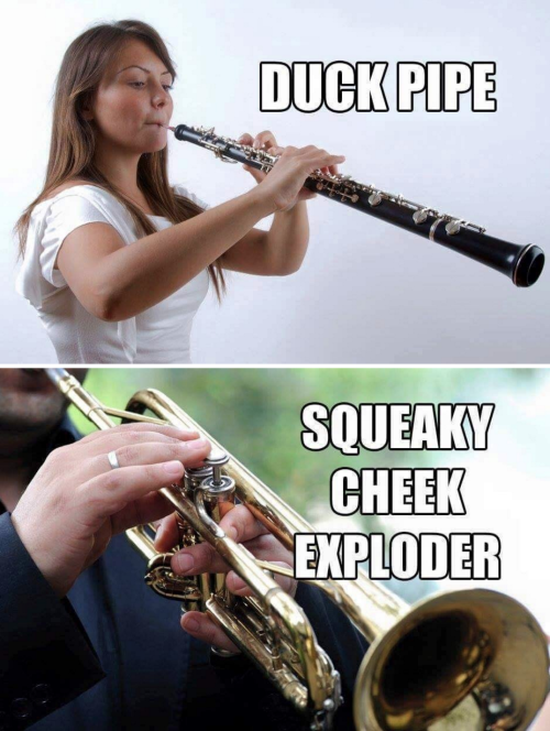 tastefullyoffensive:Instruments Renamed for Accuracy...