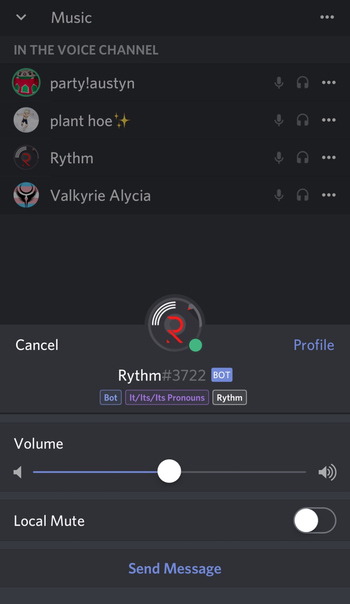 Add Rythm Bot To Voice Channel