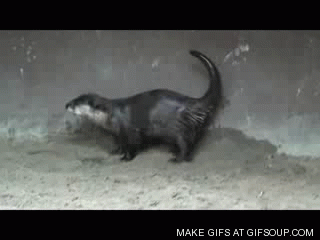 Seattlish Rip Grandma Otter