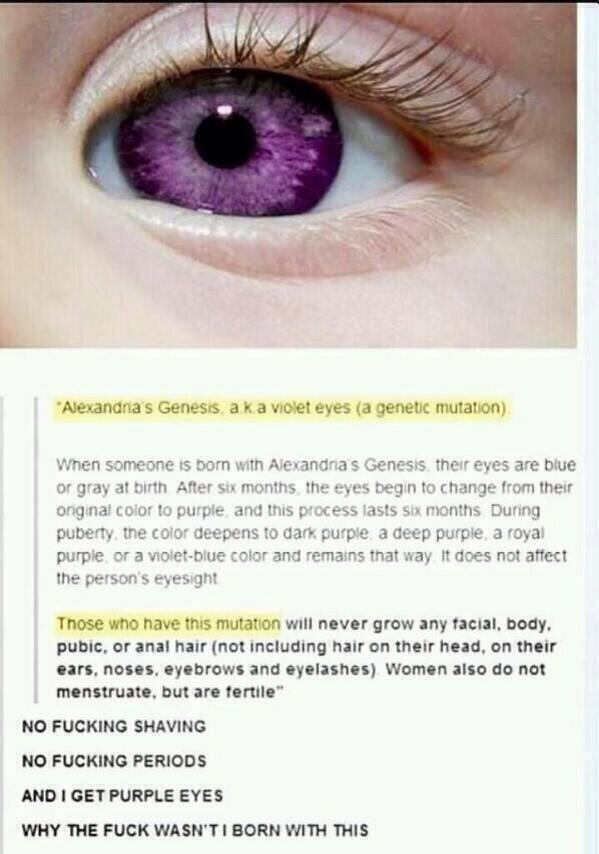 Sugabeau No Periods I Want Them Purple Eyes Omg