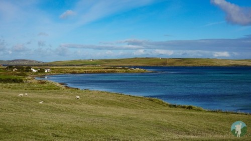 The Isle of Hoy last week. The centre of scenic beauty on the...