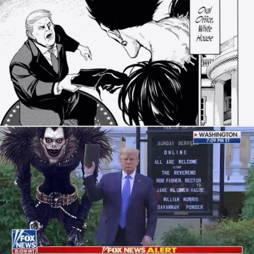 usagirotten